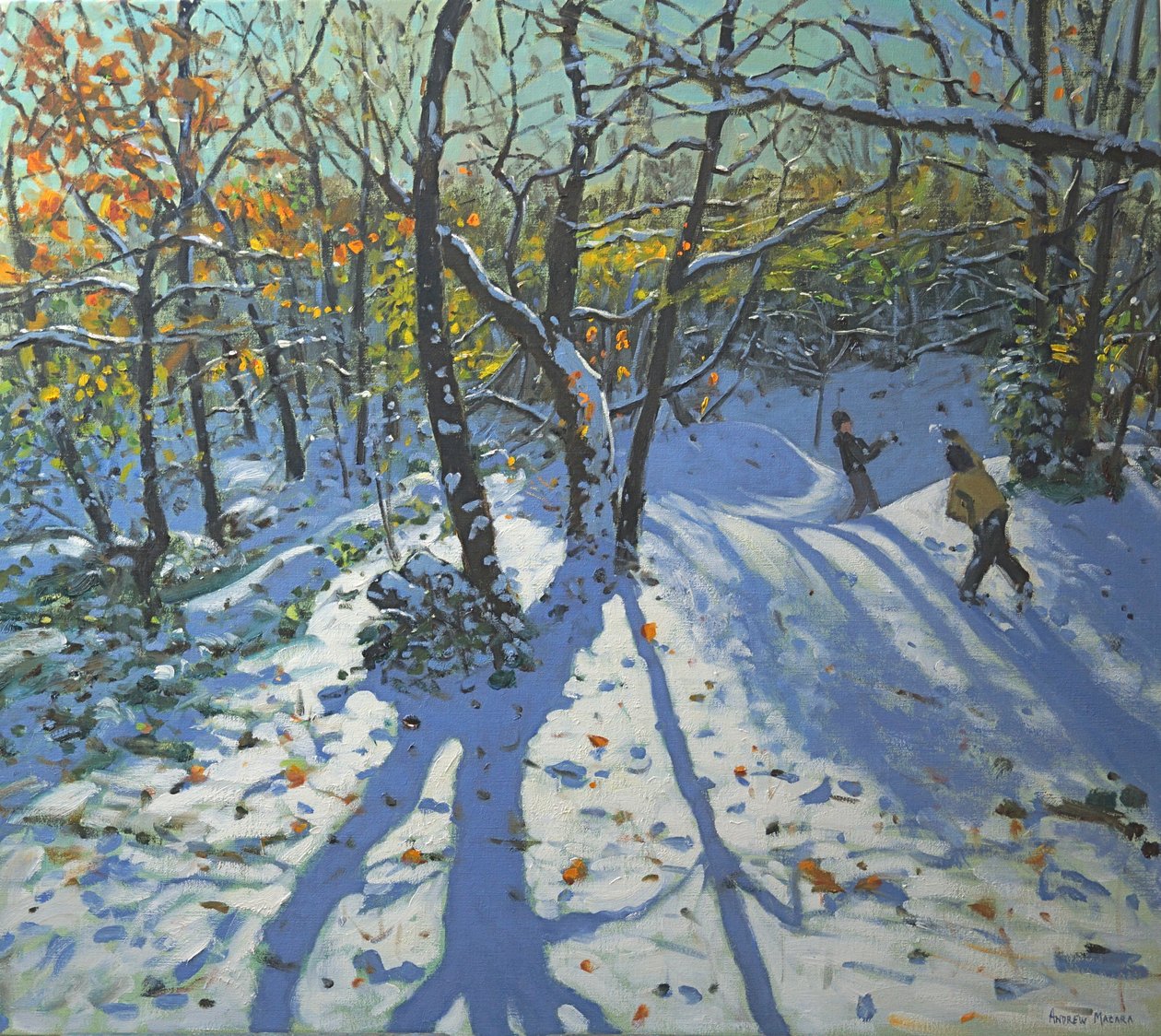 Boschi di Allestree Park novembre, 2010 da Andrew Macara