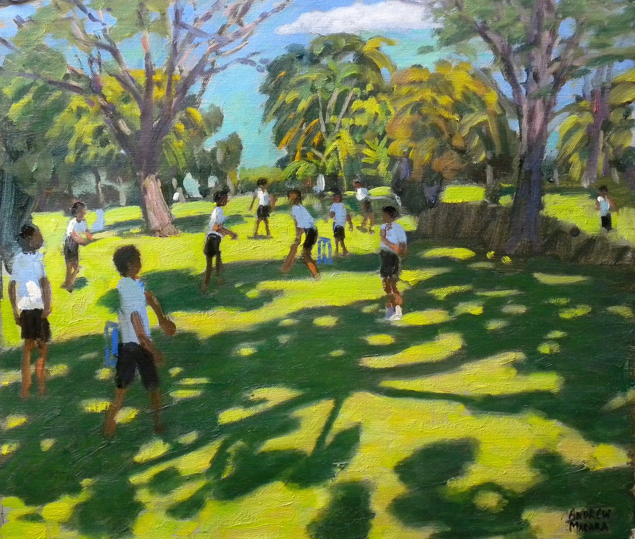 Cricket, 2011 da Andrew Macara