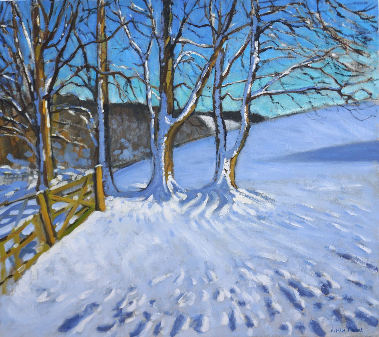 Cancello e alberi, inverno, Dam Lane, Derbyshire, 2013 da Andrew Macara