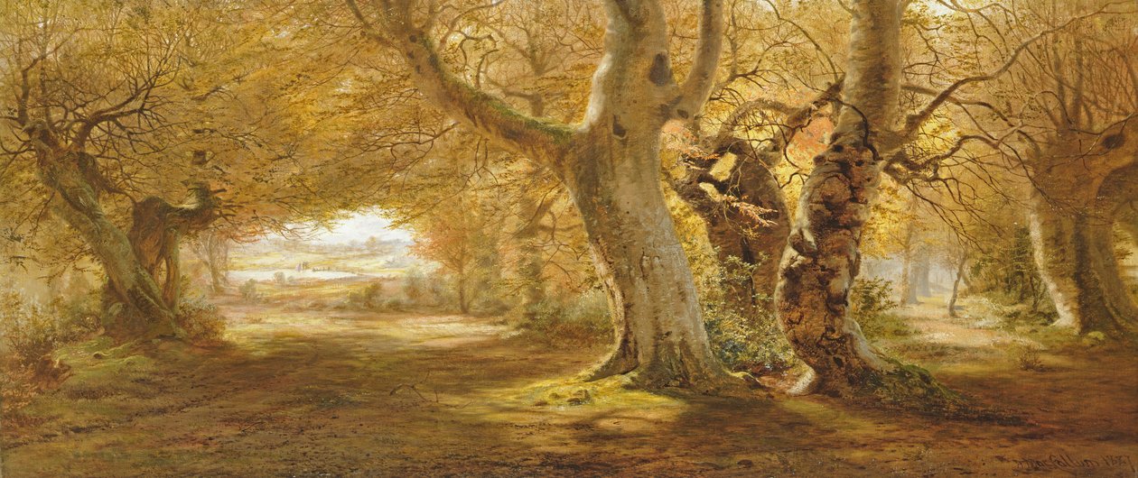 Paesaggio boscoso, 1887 da Andrew McCallum