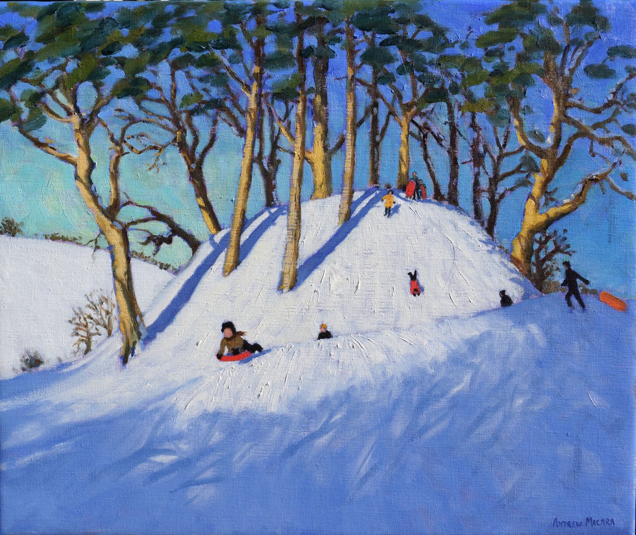 Slittino di Natale da Andrew Macara