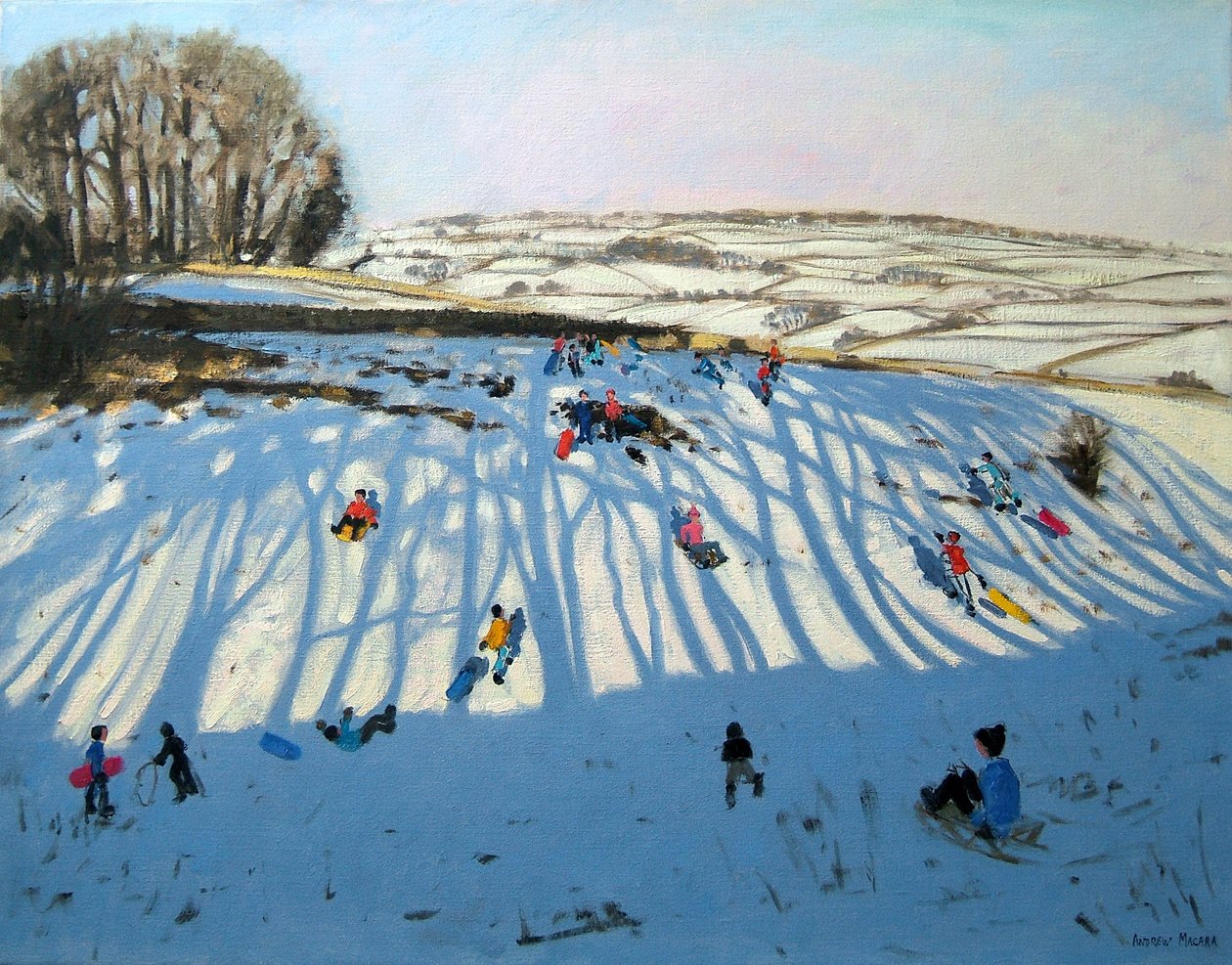 Campi di ombre, Monyash, Derbyshire da Andrew Macara