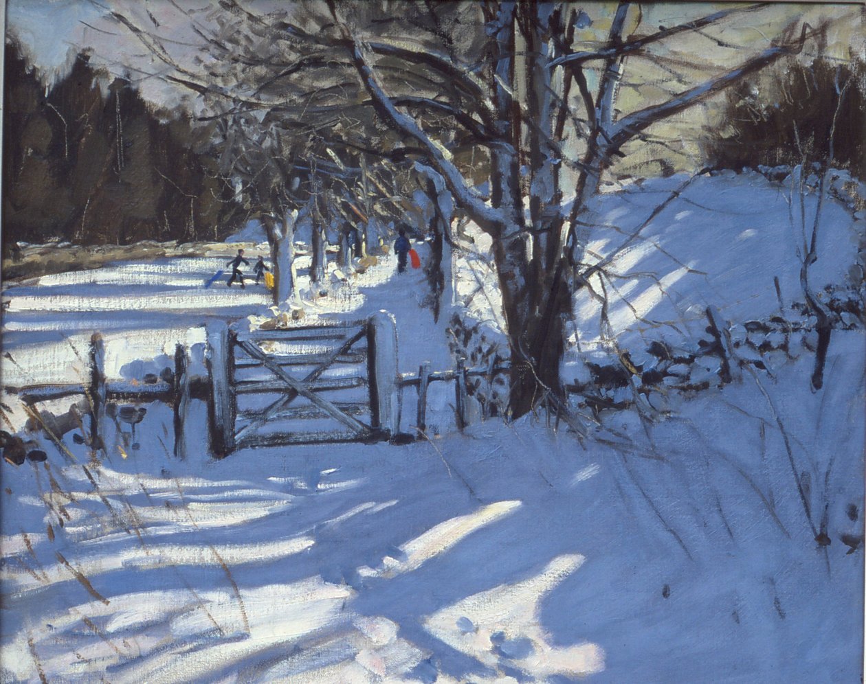Cancello vicino a Youlgreave, Derbyshire da Andrew Macara