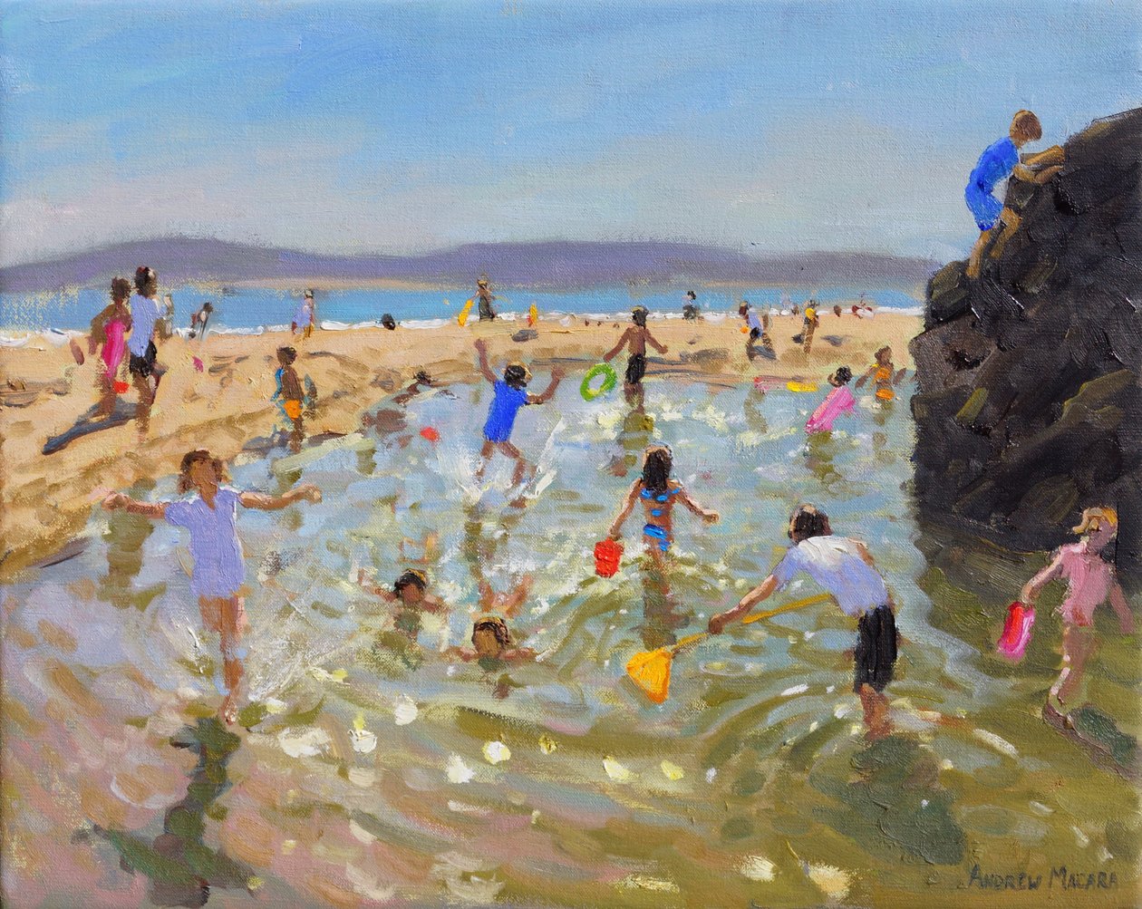 Pozza di marea, Tenby, 2016 da Andrew Macara