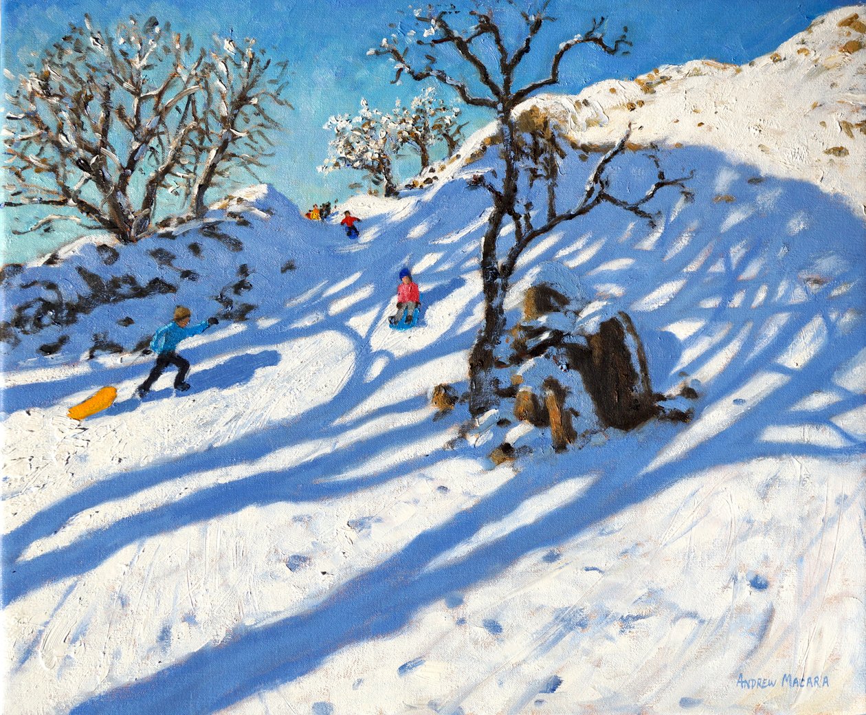 Slittino, Glutton Bridge, Buxton, Derbyshire, 2016 da Andrew Macara