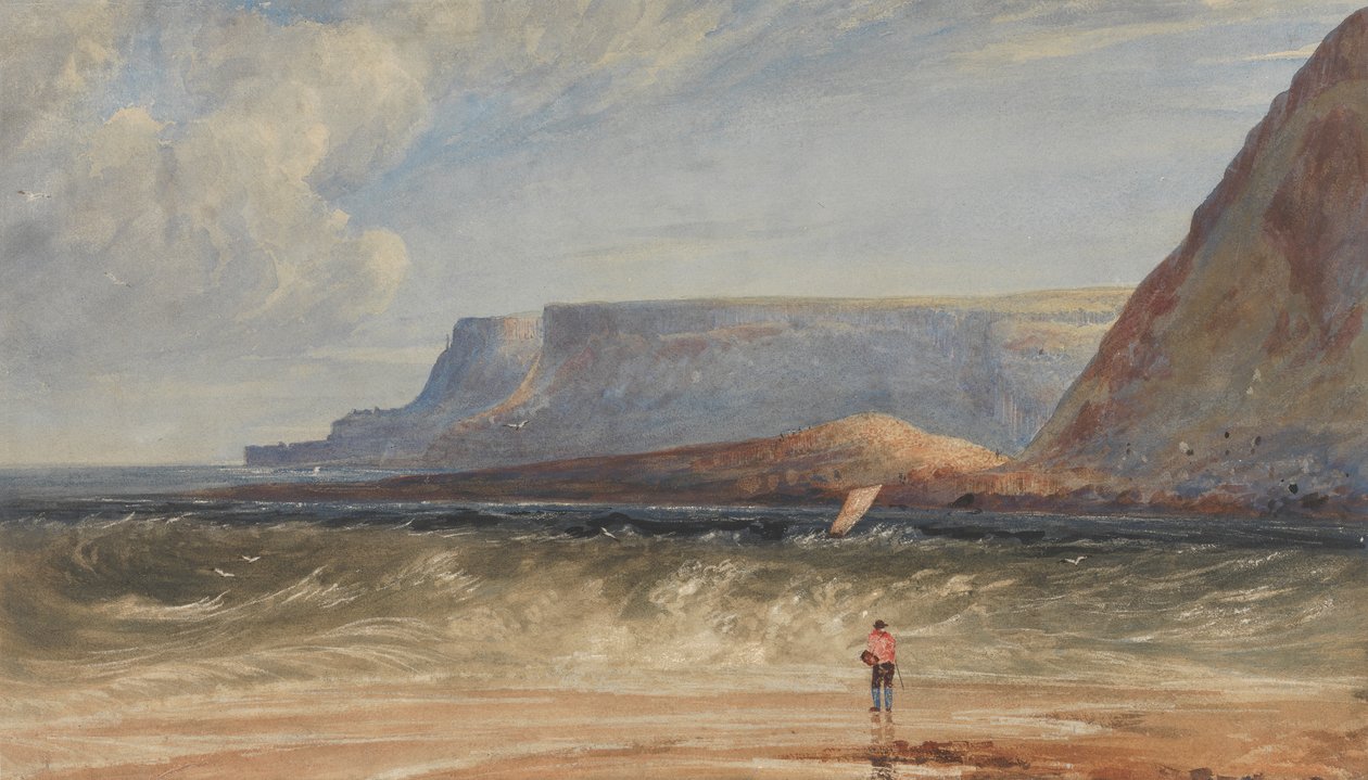 La costa di Antrim da Andrew Nicholl