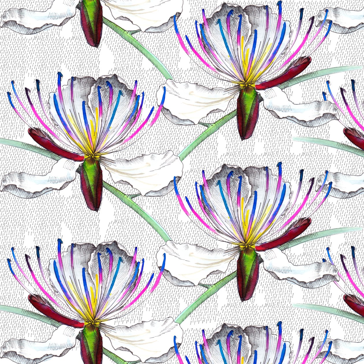 Fiori di cappero, 2017 da Andrew Watson