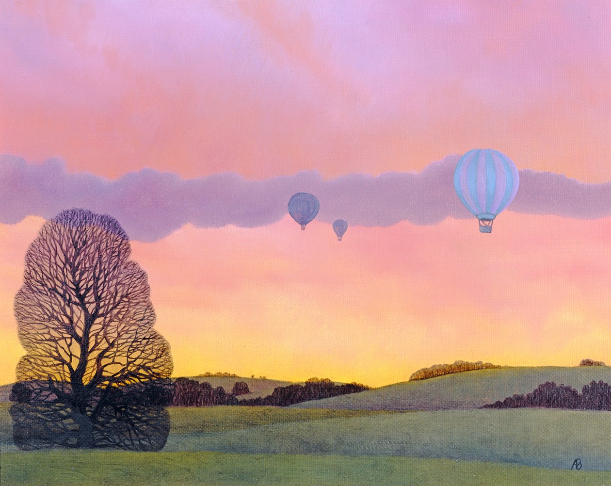 Gara di mongolfiere da Anna Phillips