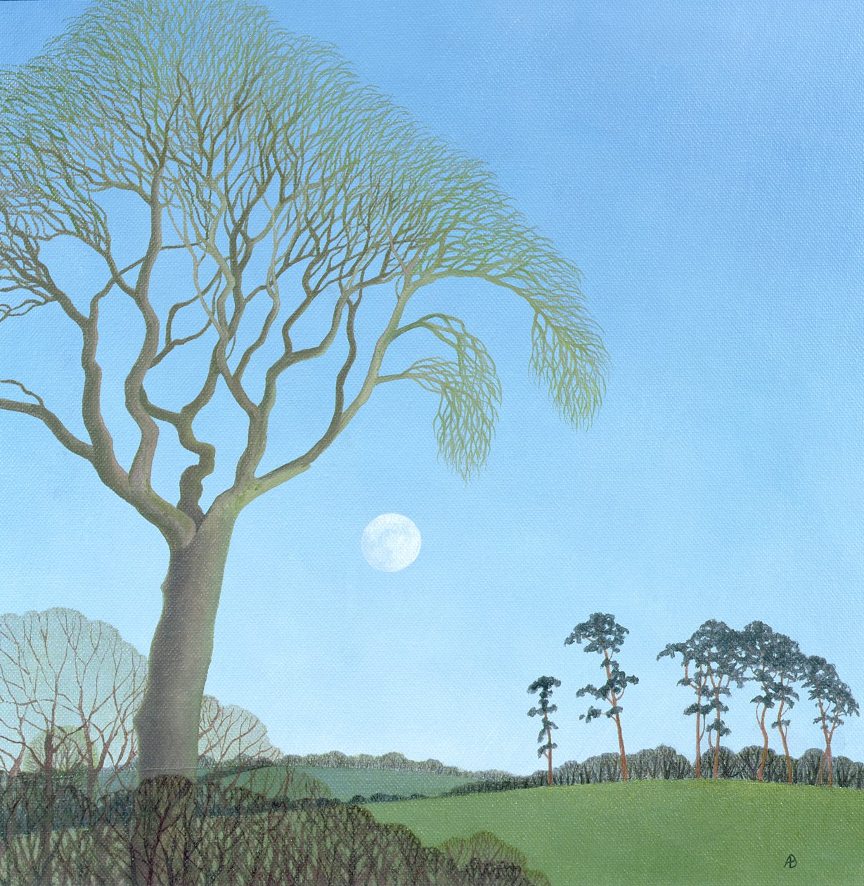 Luna precoce da Anna Phillips