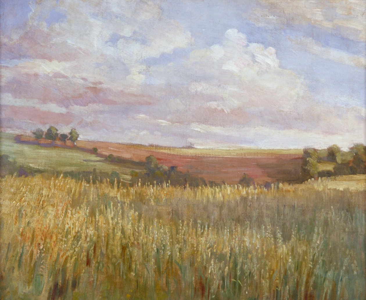 Il campo di grano, c1864-1930 da Anna Lea Merritt