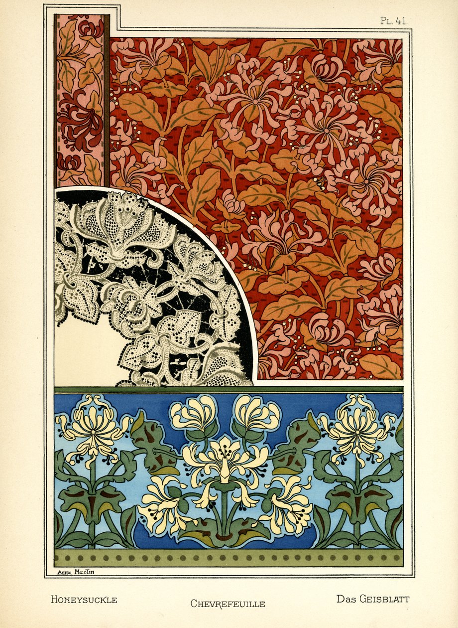 Il caprifoglio da Anna Martin