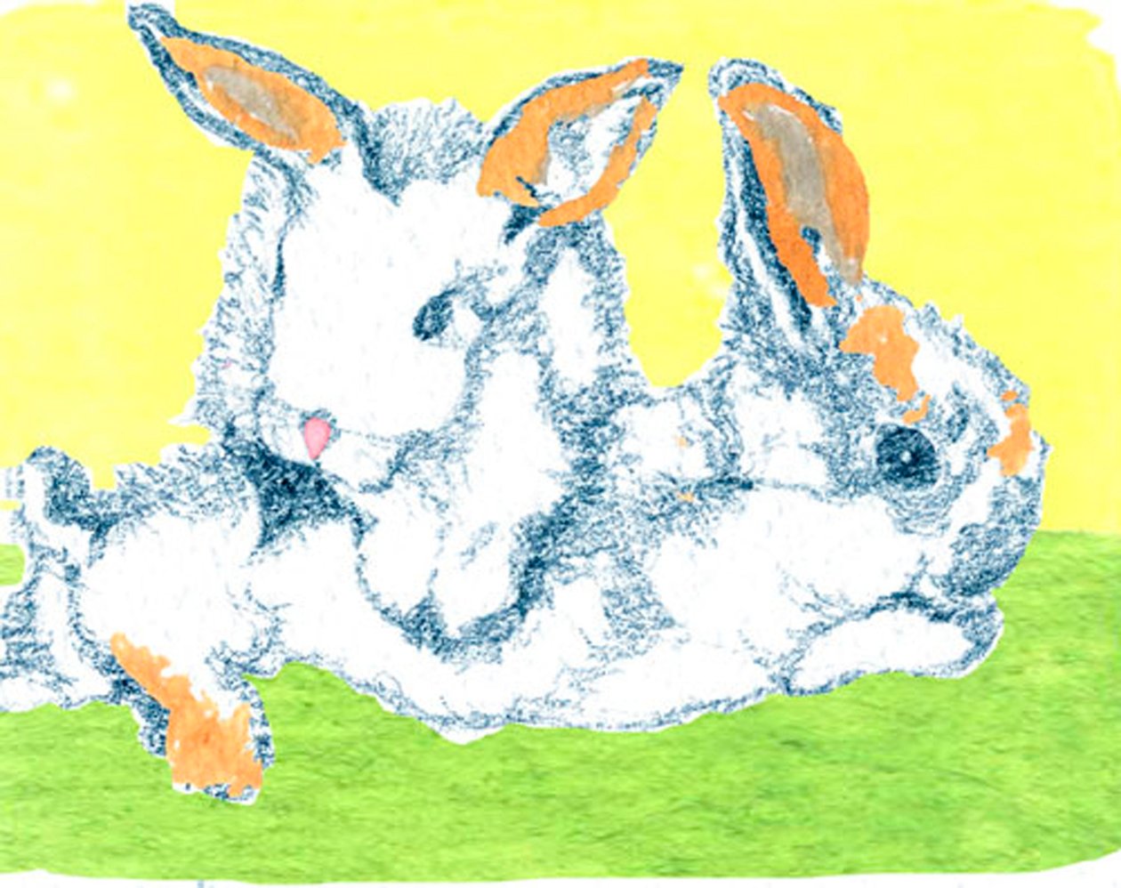 Coniglietti di Pasqua da Anna Platts