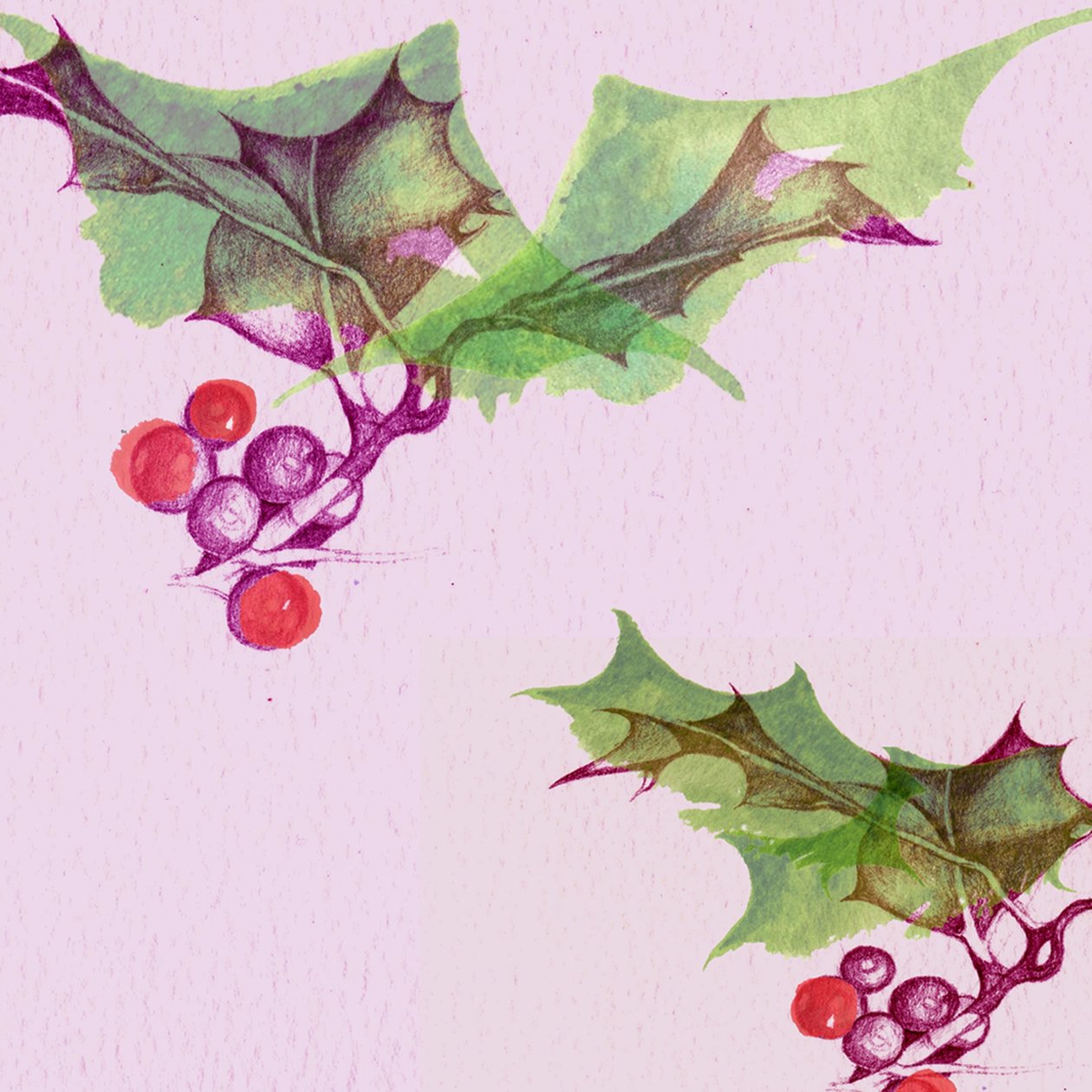 Agrifoglio da Anna Platts