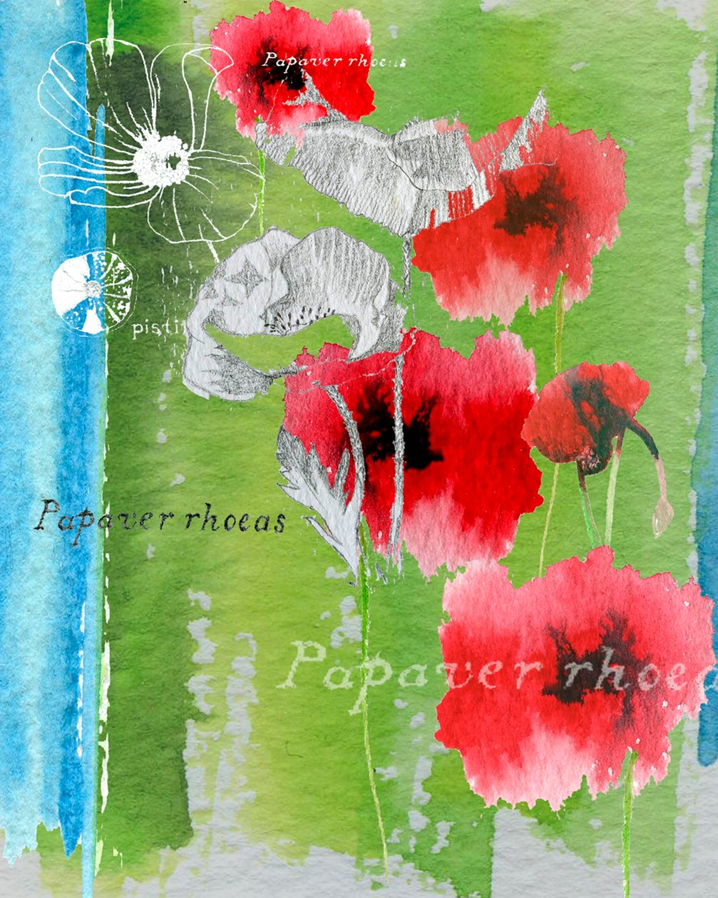 Papavero da Anna Platts