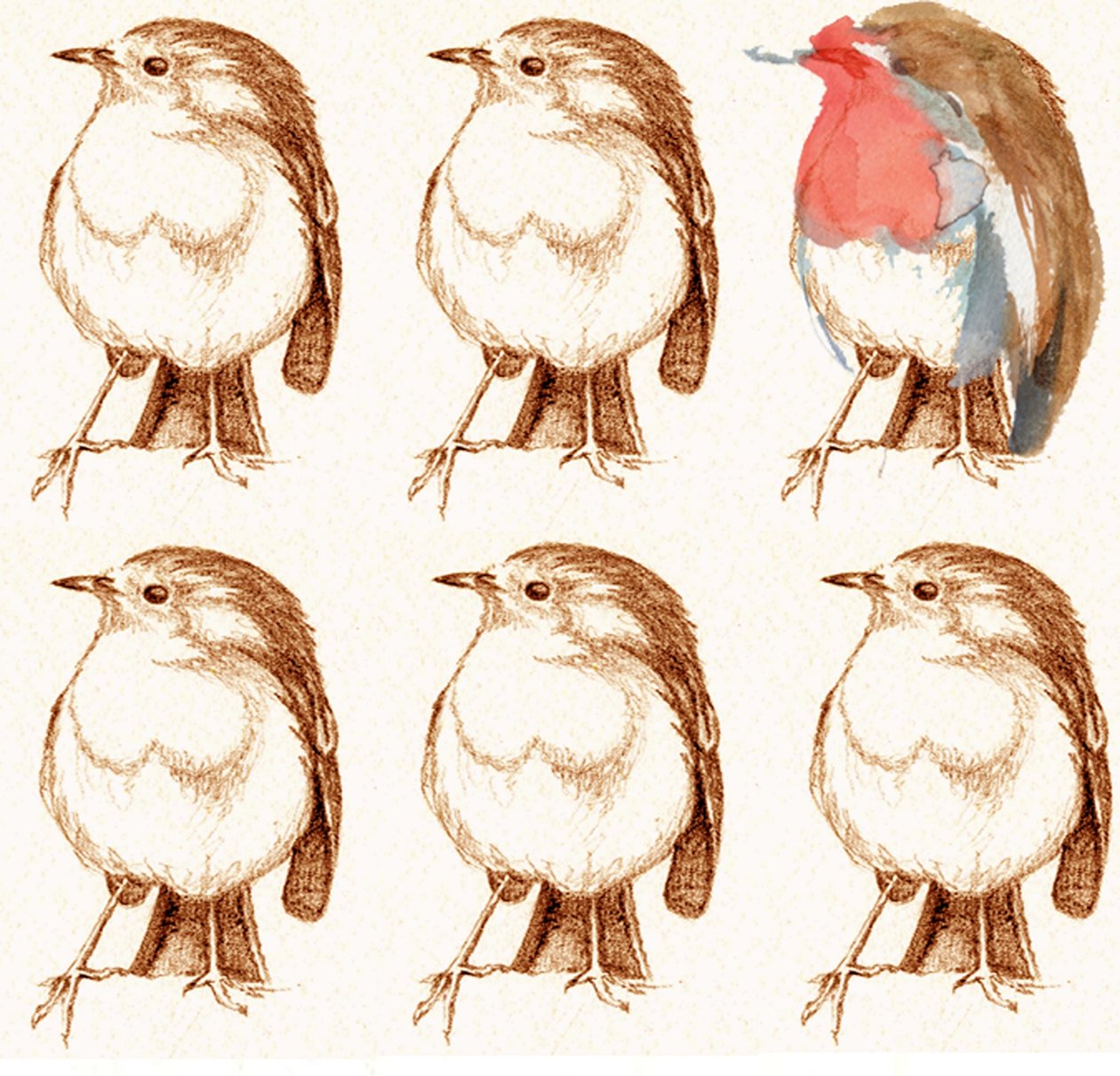 Pettirosso da Anna Platts