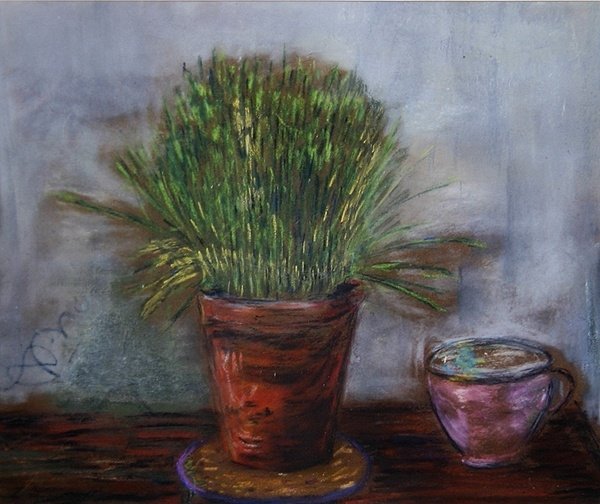 Erba gatta da Anna de Noailles
