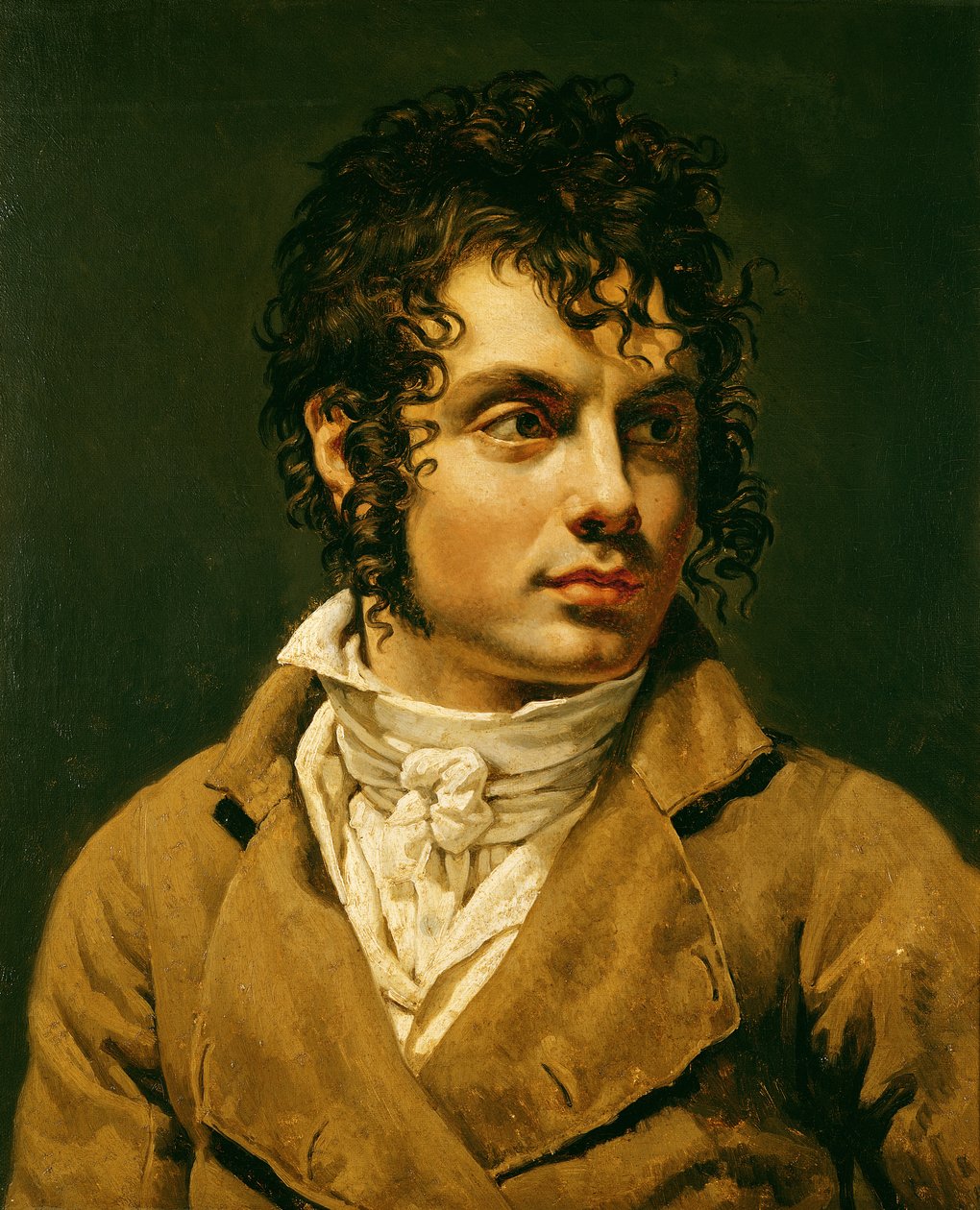 Ritratto di un Uomo da Anne Louis Girodet de Roucy Trioson
