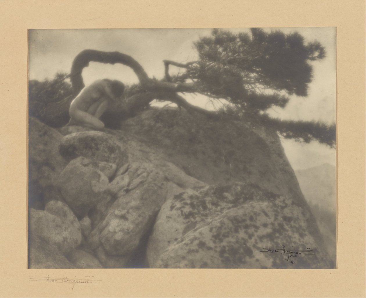 Il pino solitario da Anne W. Brigman