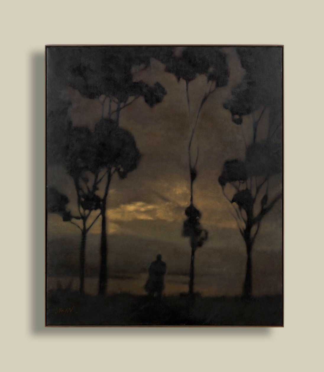 Quasi ora da Anne Magill