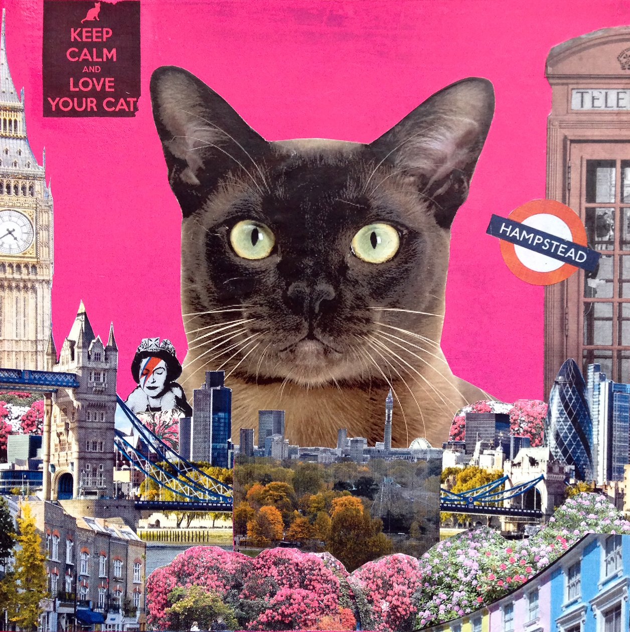 Gatto Urbano da Anne Storno