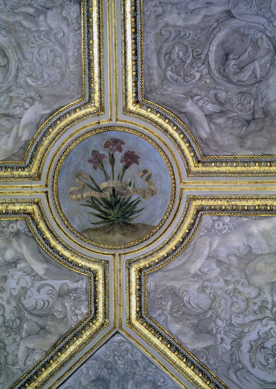 Decorazione del soffitto floreale, dal 