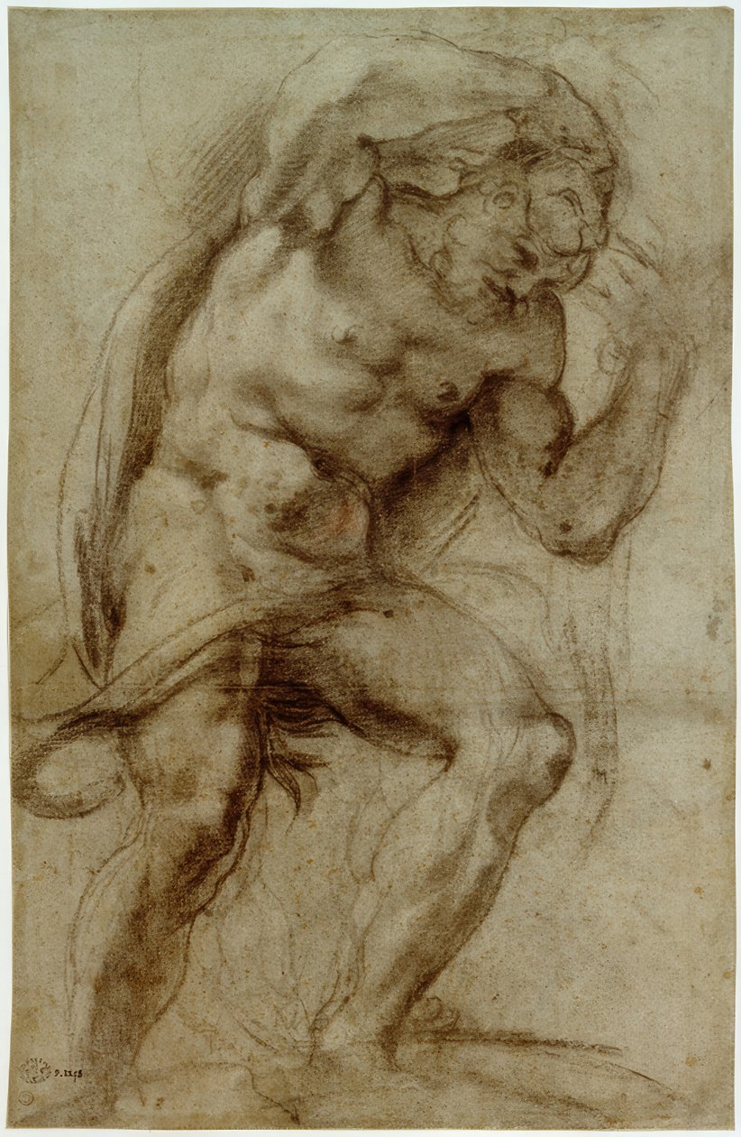 Ercole da Annibale Carracci