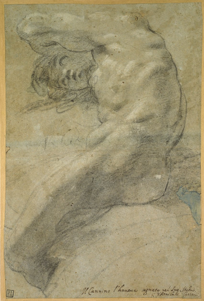 Studio di un uomo nudo da Annibale Carracci
