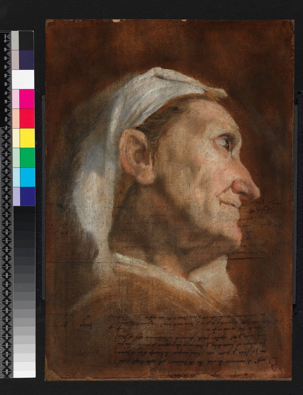 Testa di una vecchia donna da Annibale Carracci