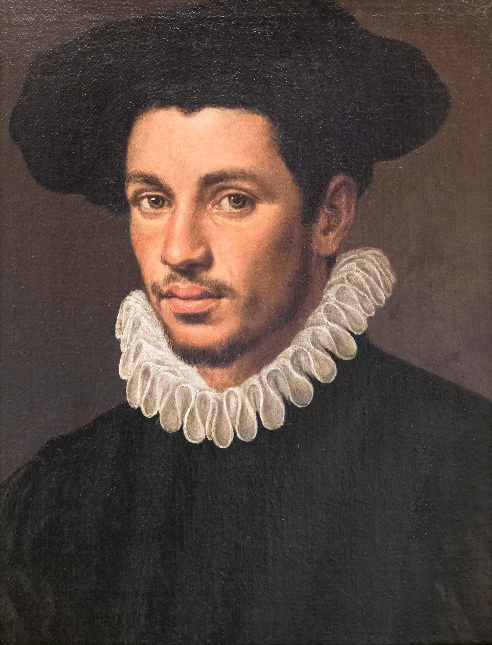 Ritratto di un giovane uomo da Annibale Carracci