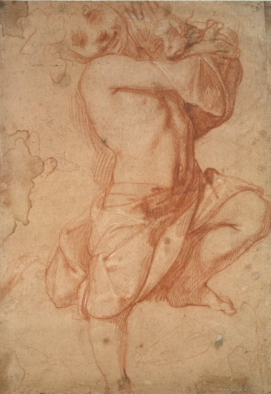 Ragazzo semi-nudo, fine XVI secolo da Annibale Carracci