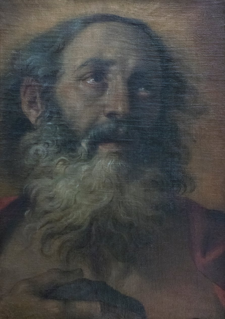 San Girolamo da Annibale Carracci