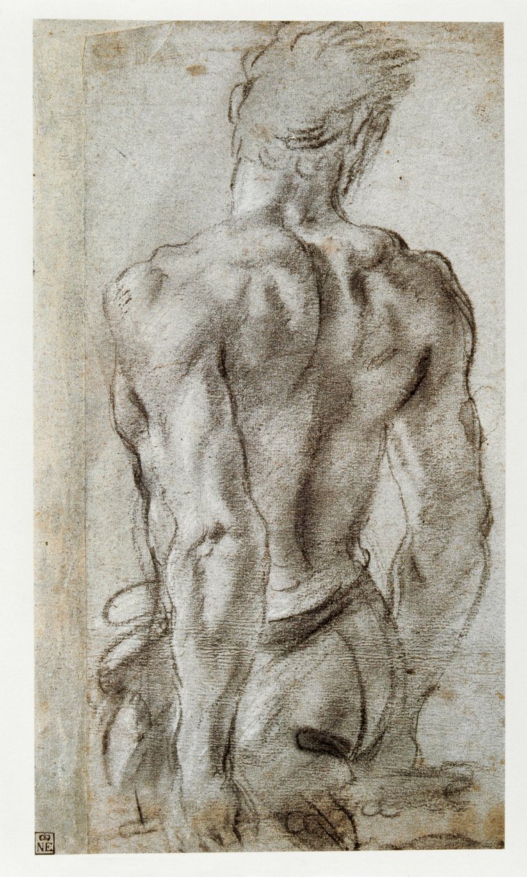 Studio di una figura maschile ... da Annibale Carracci