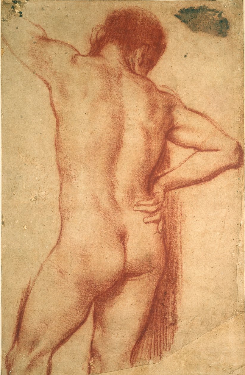Studio di un uomo nudo, XVII secolo da Annibale Carracci