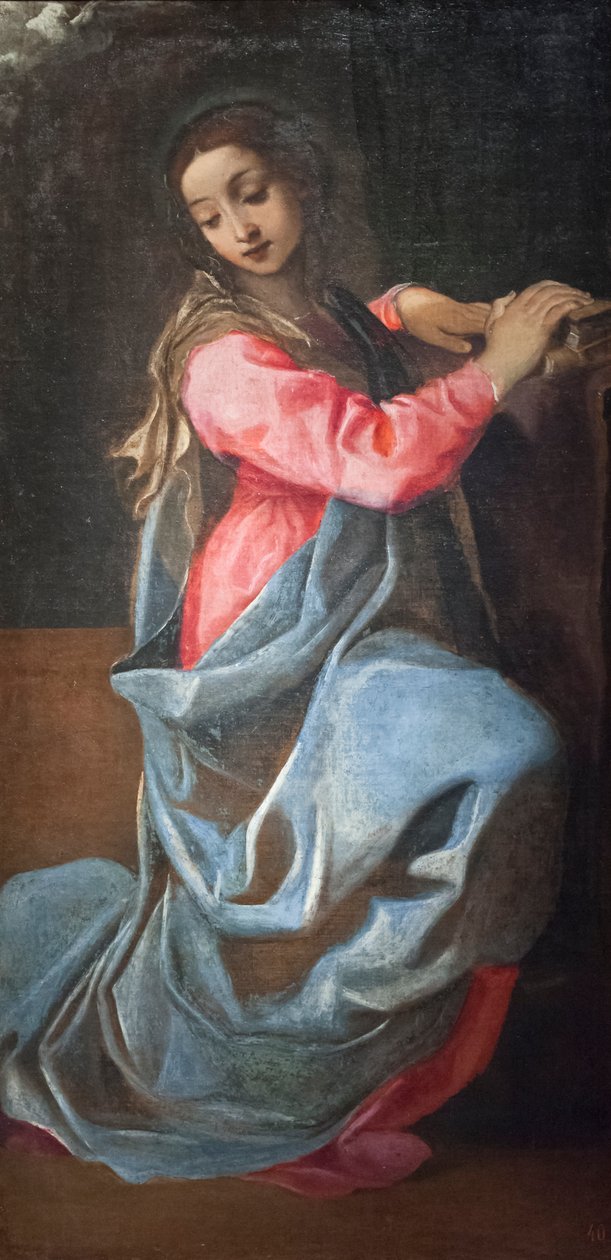 Vergine dell