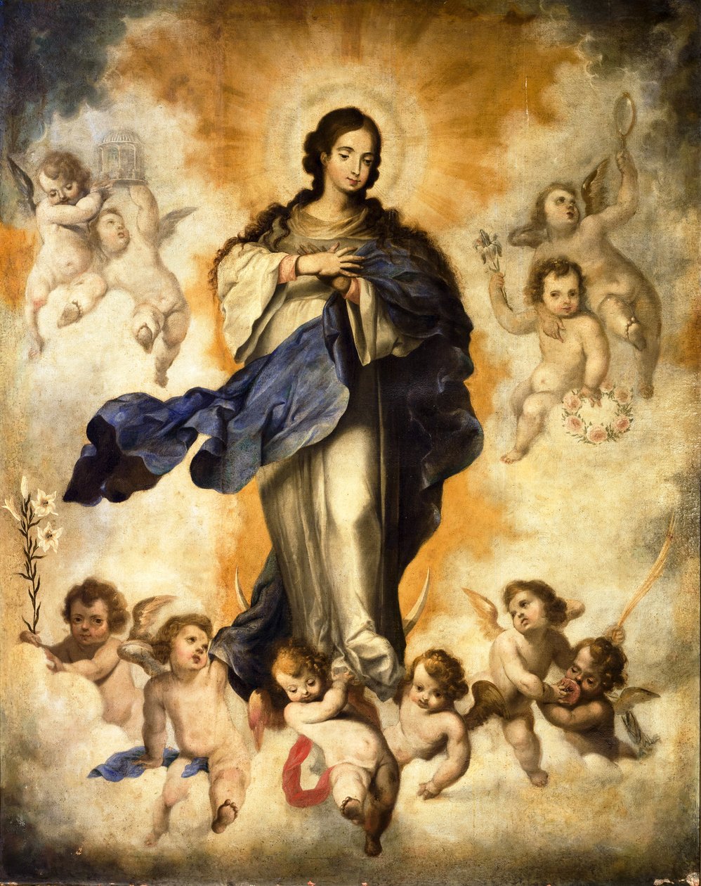 Immacolata da Anonymous
