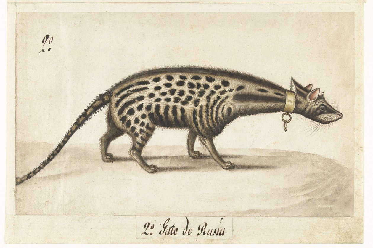Foglio d
