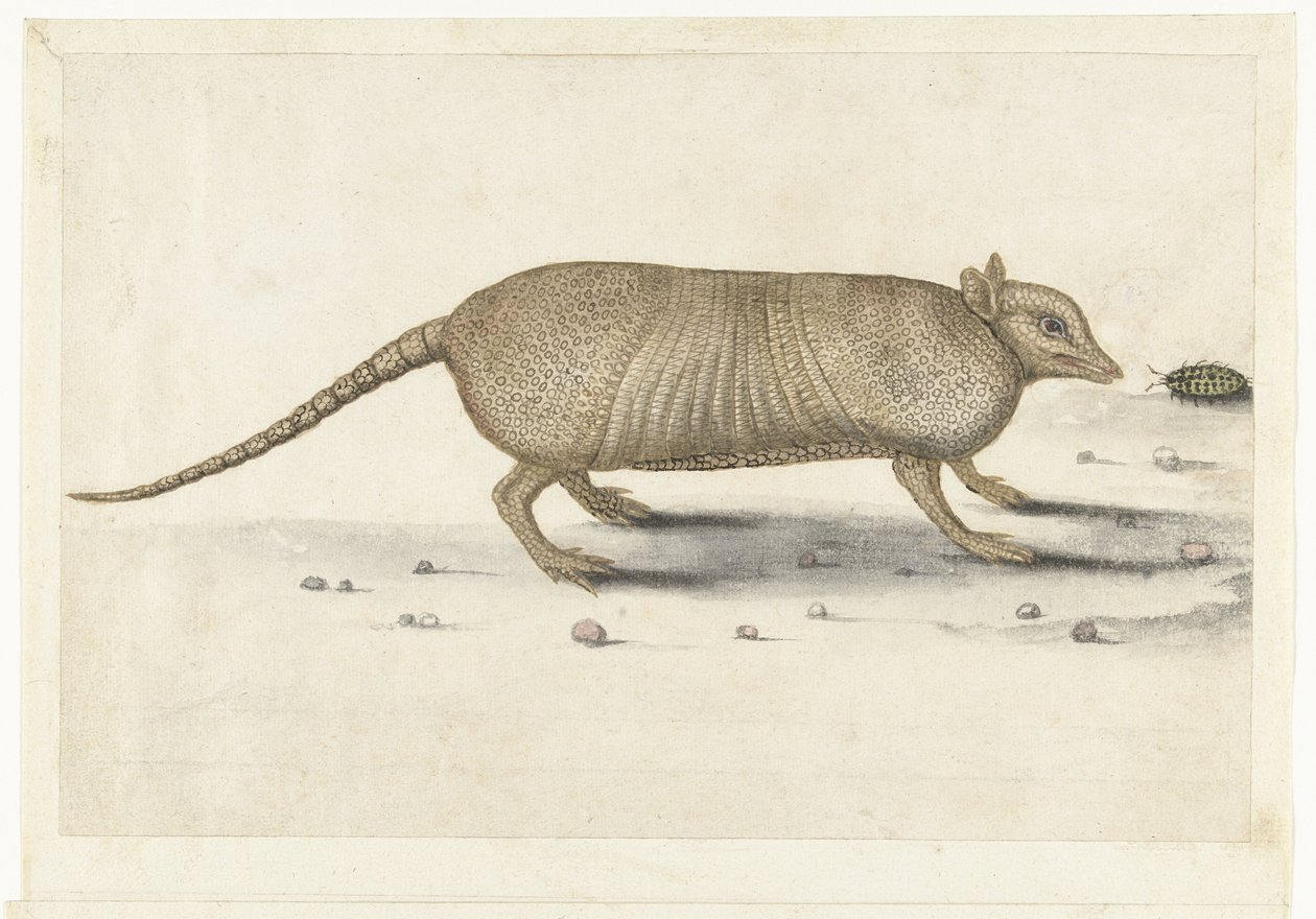 Armadillo (Lombard album) da Anonymous