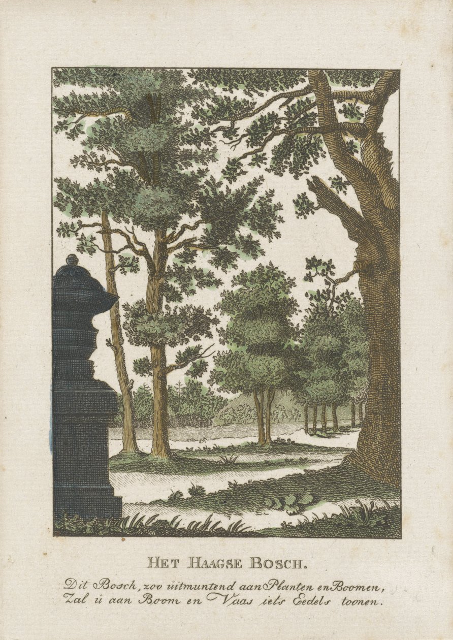 Haagse Bos da Anonymous