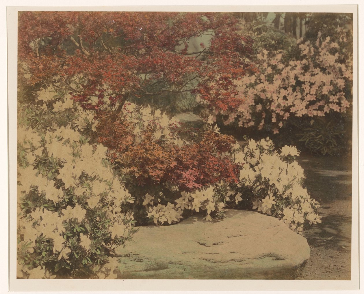 Giardino giapponese con fiori da Anonymous