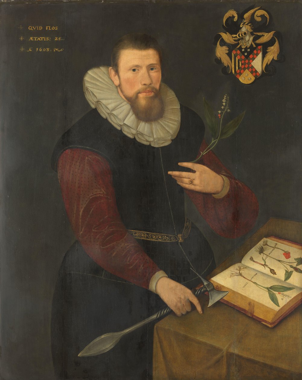 Ritratto di un botanico da Anonymous