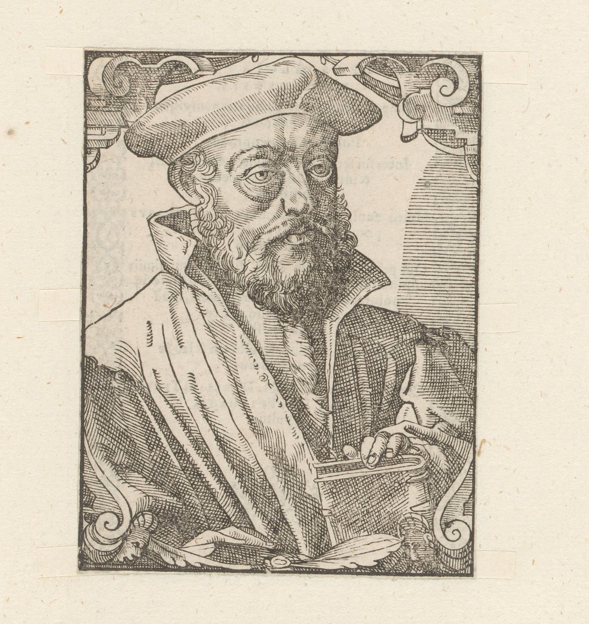 Ritratto di Andrea Alciato da Anonymous