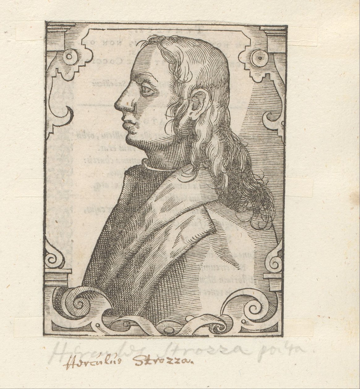 Ritratto di Ercole Strozzi da Anonymous