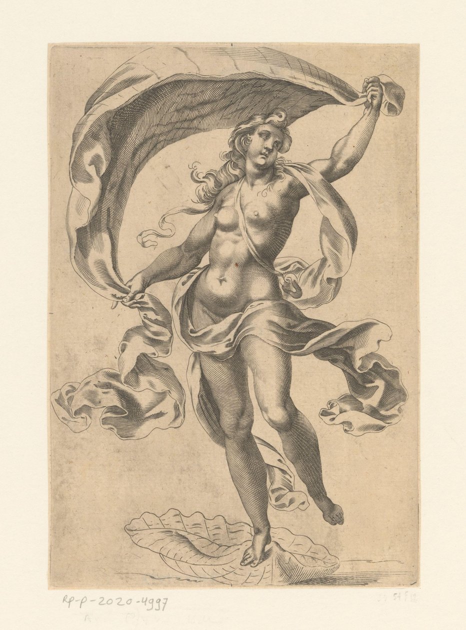 Venere Marina da Anonymous