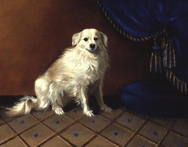 Un cane giocattolo da Anonymous Anonymous