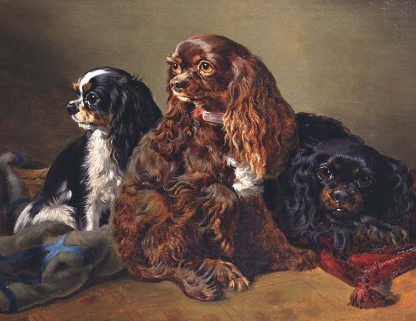 Spaniel di Re Carlo da Anonymous Anonymous