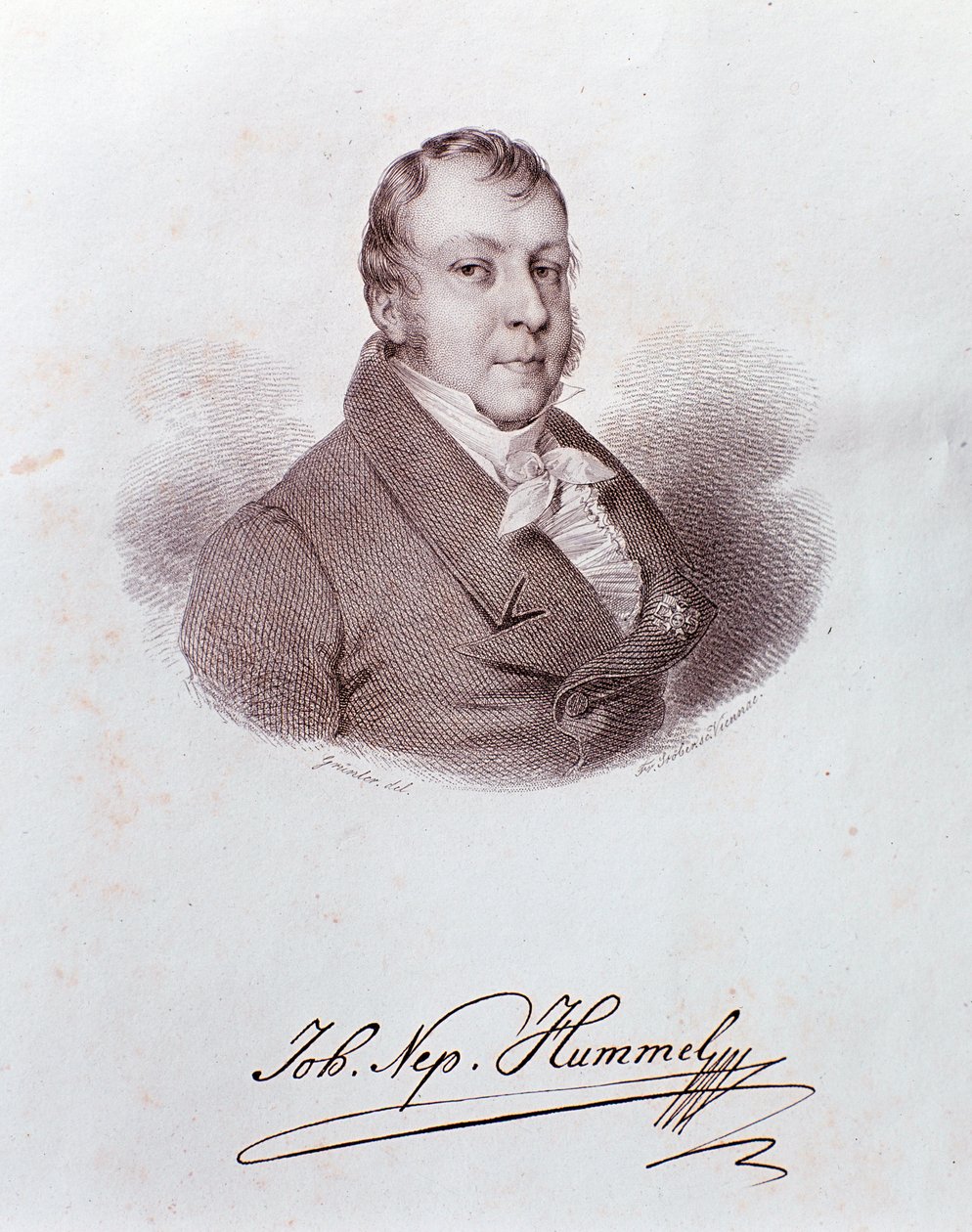 Ritratto di Johann Nepomuk Hummel da Anonymous Anonymous
