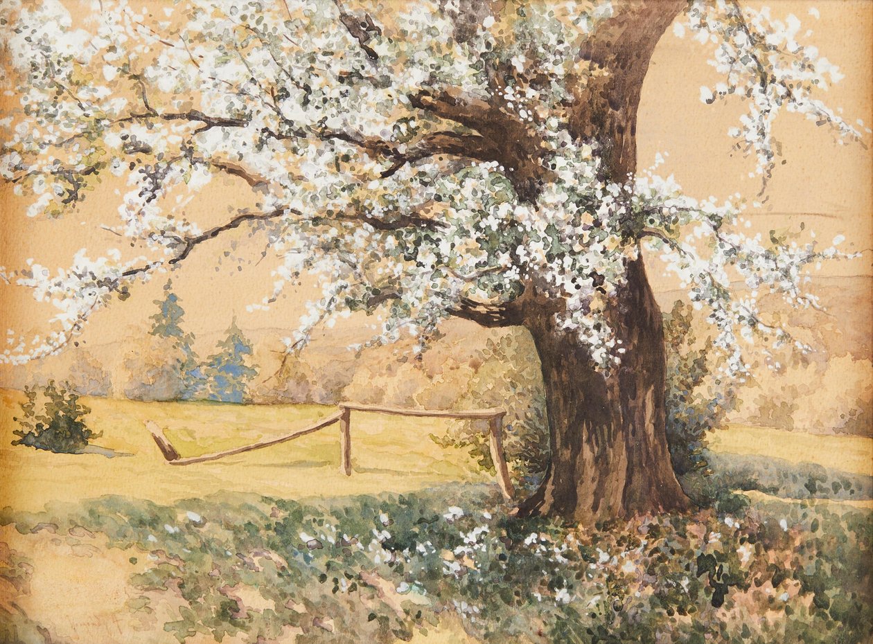 Antal Neogrády Albero fiorito da Antal Neogrady