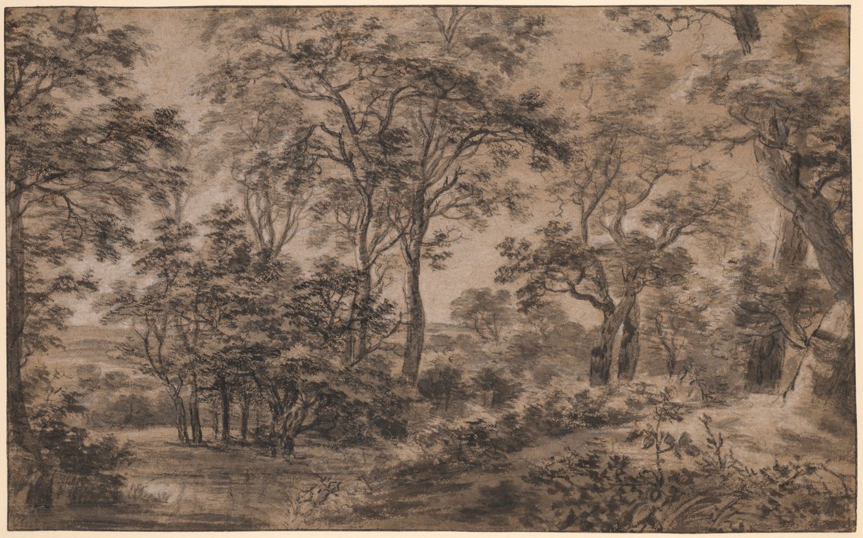 Paesaggio boscoso da Anthonie Waterloo