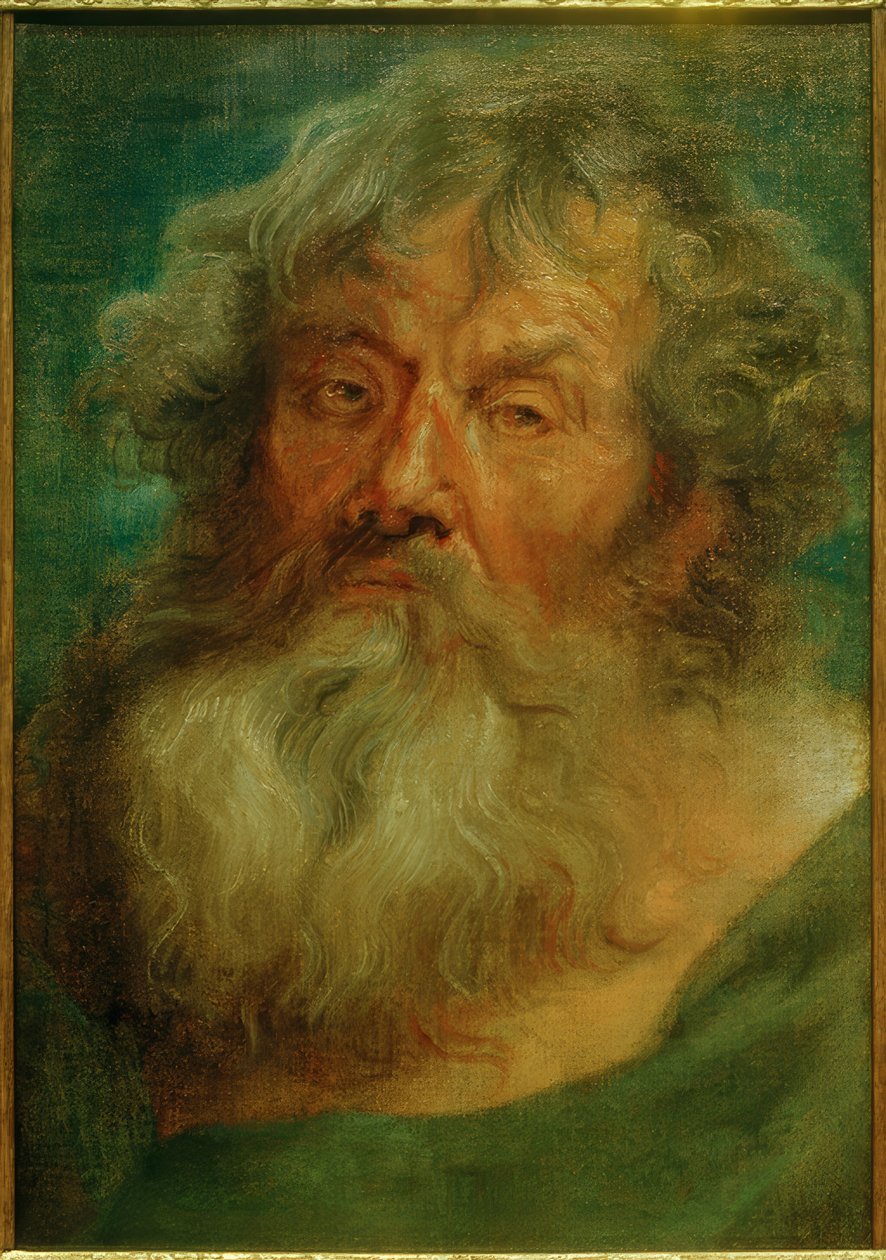 Testa di un vecchio da Anthony van Dyck