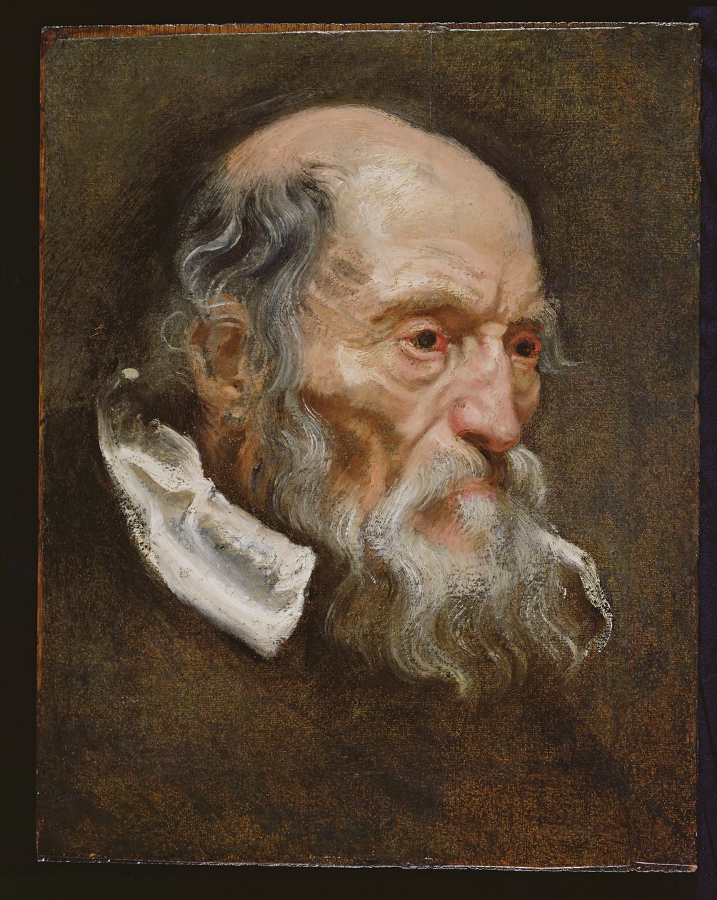 Ritratto di un vecchio da Anthony van Dyck